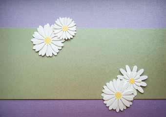 frame of daisies