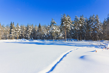 Fototapeta na wymiar Bright Winter Landscape with a lot of Snow