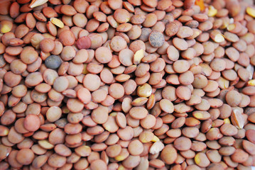 lentil