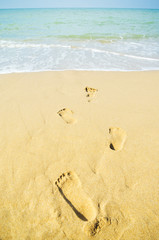 Footprints trail in wet sand