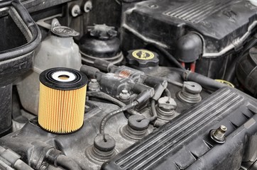 Filtro olio motore