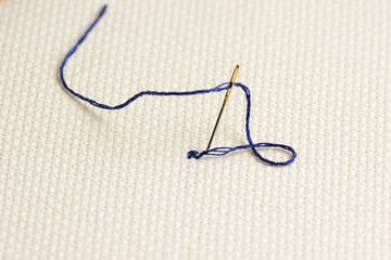 embroidery on a canvas with a needle with blue thread