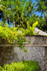 Rest in Paradise - Malediven - Eingang zum Garten