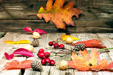 Autumn background