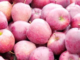 St Jacobs Village the apples 2013