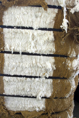 Bale of Cotton