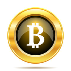 Bitcoin icon