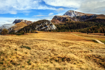 Mountain Pasture at the sea of Kings in Berchtesgaden