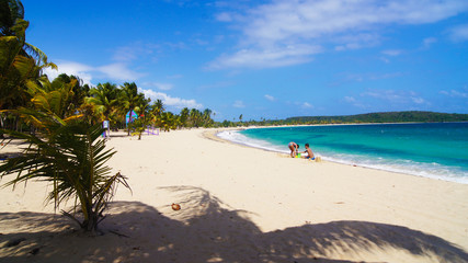 Fototapeta na wymiar Playa de Sun Bay. Vieques. Puerto Rico.