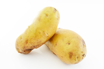 新鮮なじゃがいも