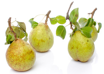 Pears with leaves