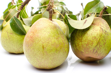 Pears with leaves