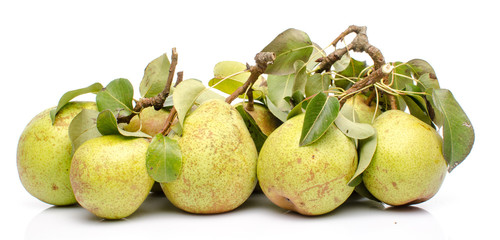 Pears with leaves