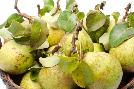 Pears with leaves in a basket