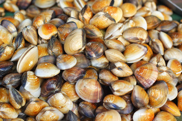 Fresh shellfish at the market