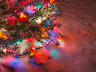 Snow Covered Christmas Tree with Multi Colored Lights