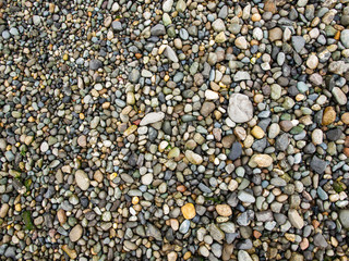 Background of Smooth Stones on the Seashore