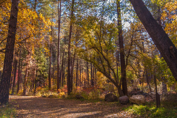 The Breathtaking Beauty and Serenity of Sedona Arizona