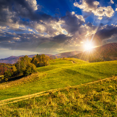 trees on autumn meadow in mountains at sunset