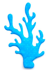 Laminaria is a blue algae, kelp Stock Image