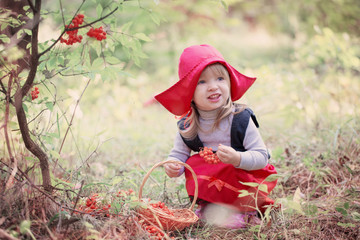 Little Red Riding Hood in the woods