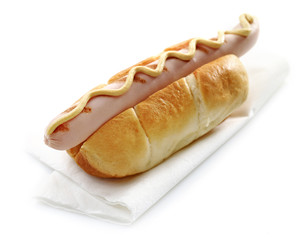 hot dog with mustard