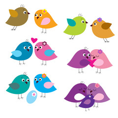 Set of colorful fun lovers of birds