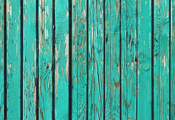 Fototapeta na wymiar old shabby wooden planks with cracked paint