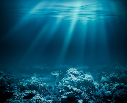 Fototapeta Morze głębokie lub ocean pod wodą z rafą koralową jako tło