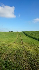 Traktor spuren im Feld