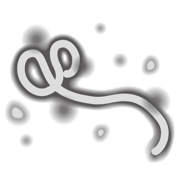 エボラ　ウイルス　出血熱