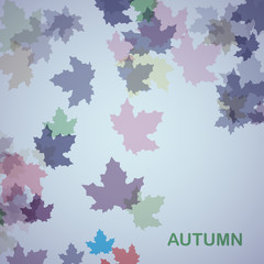 Fototapeta na wymiar Autumn seasonal background