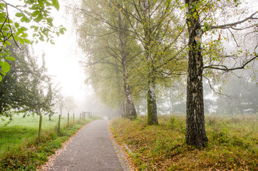 Herbst: Stimmungsvoller Weg :)