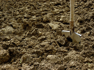 shovel in the ploughed ground