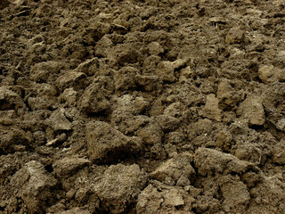 freshly ploughed field fragment
