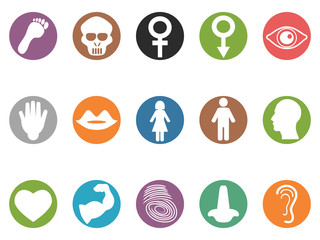 human feature round buttons icons set