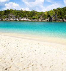 beach and tropical sea