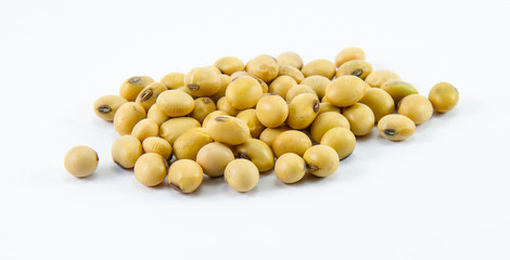 soybean