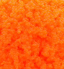 Egg shrimp background