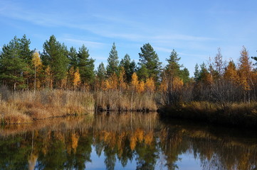 река © mifidor