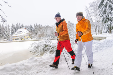 Walker im winterlichen Stadtpark