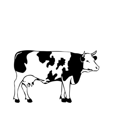 black and white cow vector illustrator