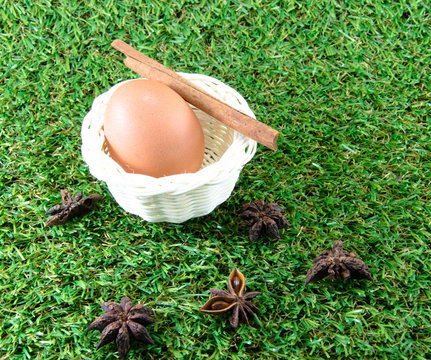 egg on grass background