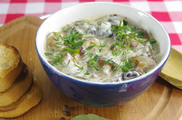 cream soup with boletus