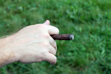 young smoker with fine cigar in his hand