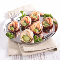 bourgogne snail, french gastronomy