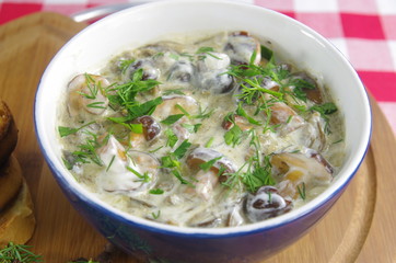 cream soup with boletus