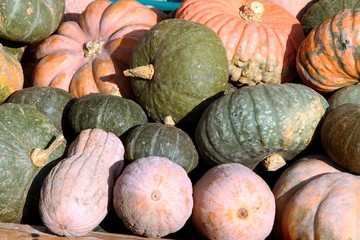 orange PUMPKINS and green for sale