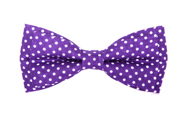 purple bow tie with white polka dots