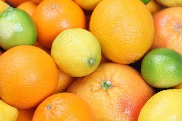 Citrus fruit